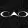 CAO