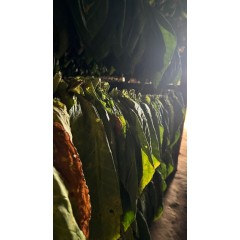 ΠΟΥΡΑ NEW WORLD ΠΟΥΡΑ NEW WORLD