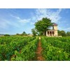 DOMAINE ROULOT