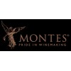 Montes Winery
