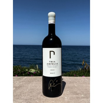 ΤΡΙΑ ΑΜΠΕΛΙΑ MAGNUM 2021 ΟΕΝΟ Π ΣΑΝΤΟΡΙΝΗ  ΤΡΙΑ ΑΜΠΕΛΙΑ MAGNUM 2021 ΟΕΝΟ Π ΣΑΝΤΟΡΙΝΗ