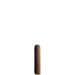 MECHETERO BUNDLE ROBUSTO