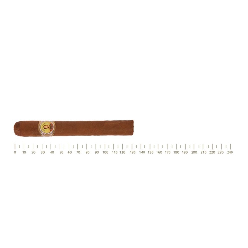 Bolivar Petit Coronas
