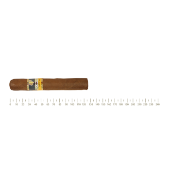 Cohiba Robustos Cohiba Robustos