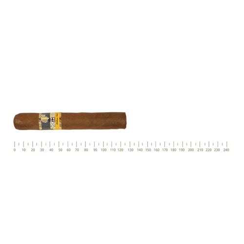 Cohiba Robustos