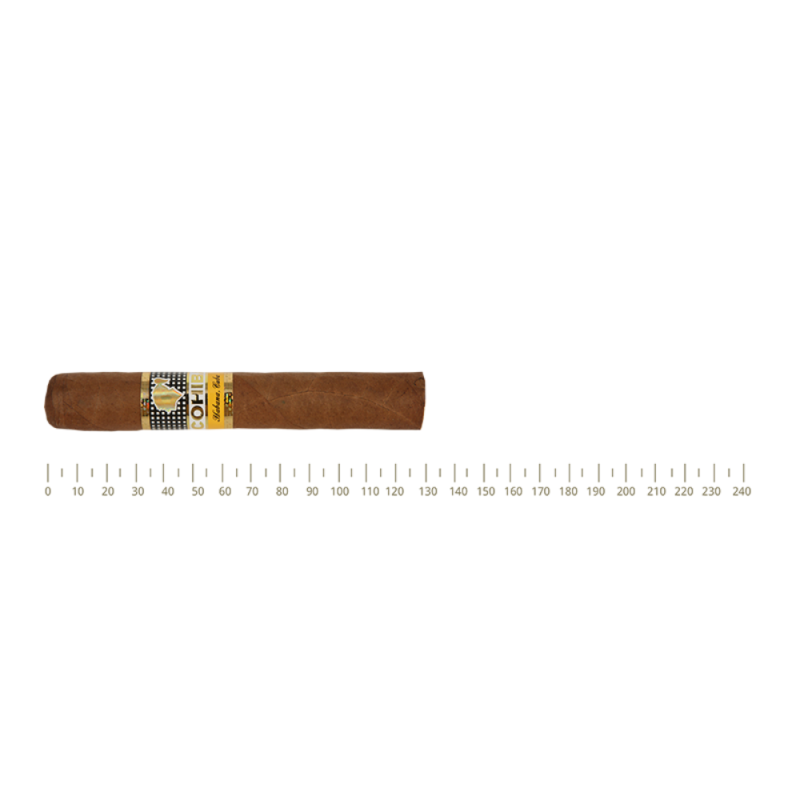 Cohiba Siglo II Cohiba Siglo II