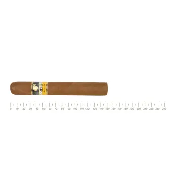 Cohiba Siglo VI