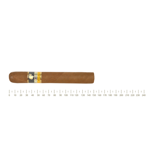 Cohiba Siglo VI