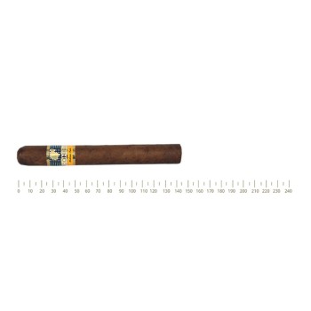 Cohiba Siglo IV