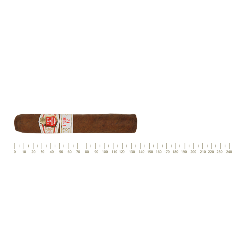 Hoyo de Monterrey Epicure No.2