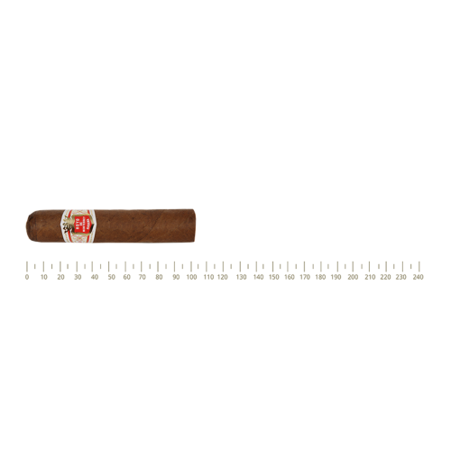 Hoyo de Monterrey Petit Robusto