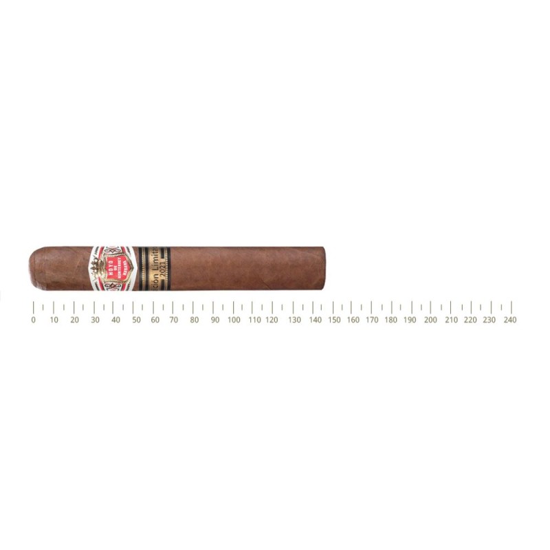 Hoyo de Monterrey Monterreyes No. 4 - Limited Edition 2021 Hoyo de Monterrey Monterreyes No. 4 - Limited Edition 2021