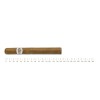 Jose L. Piedra Cazadores 5sticks