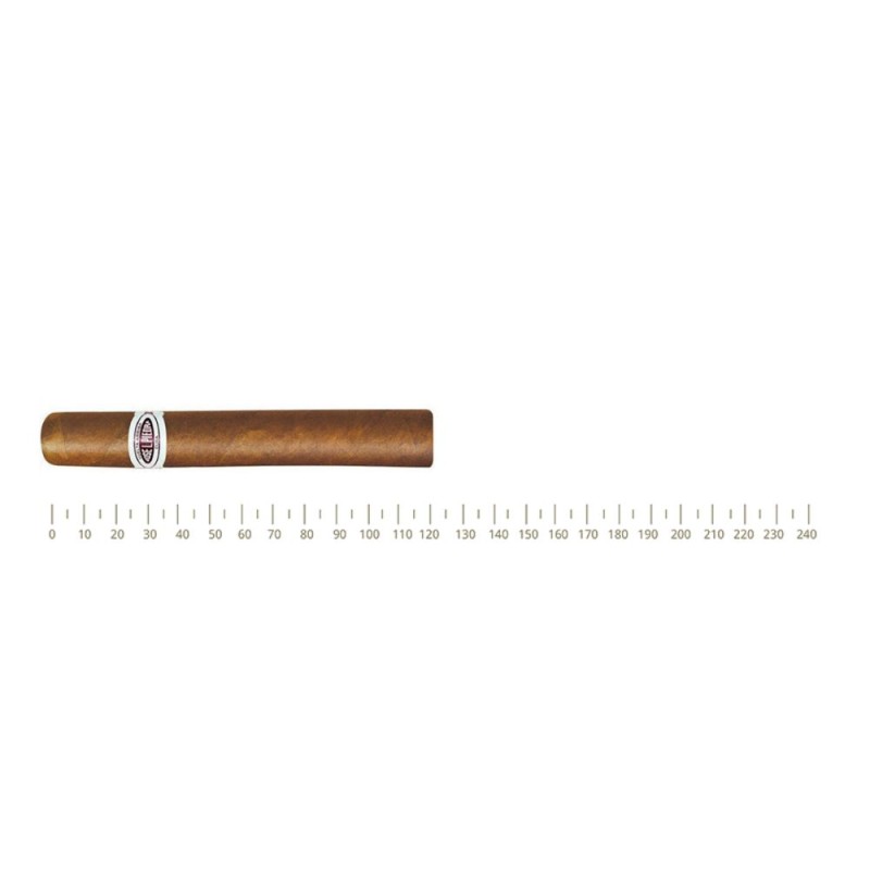 Jose L. Piedra Petit Caballeros 12 sticks