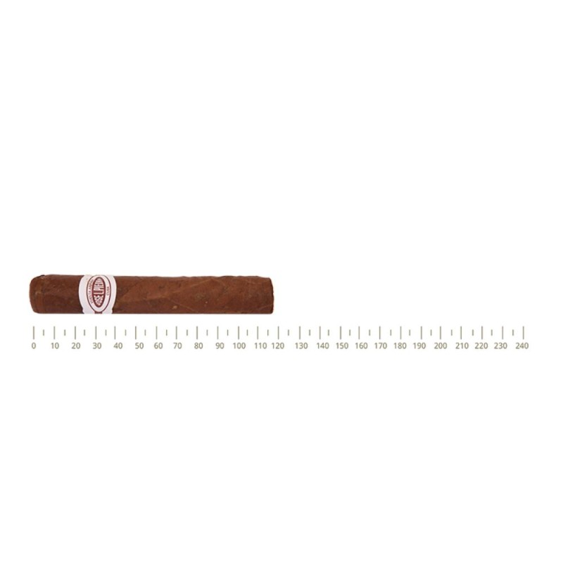 Jose L. Piedra Petit Cazadores 5S Jose L. Piedra Petit Cazadores 5S
