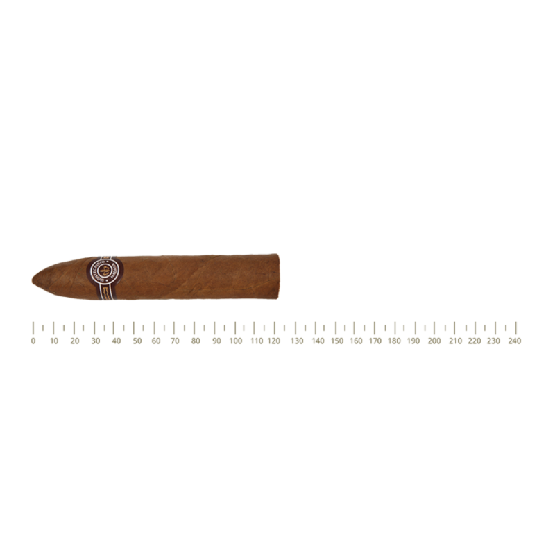 Montecristo Petit No.2