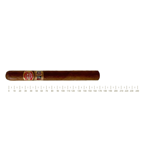 Partagas Aliados LCDH