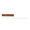 Partagas Serie D No.5 3AΔΑ TUBOS
