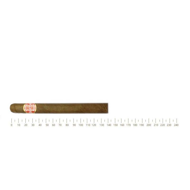 Quintero Brevas 25's Quintero Brevas 25's