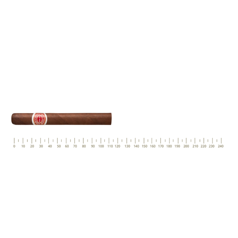 Romeo y Julieta Sports Largos Romeo y Julieta Sports Largos
