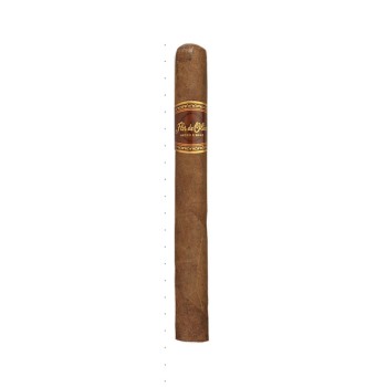 Flor De Oliva Churchill