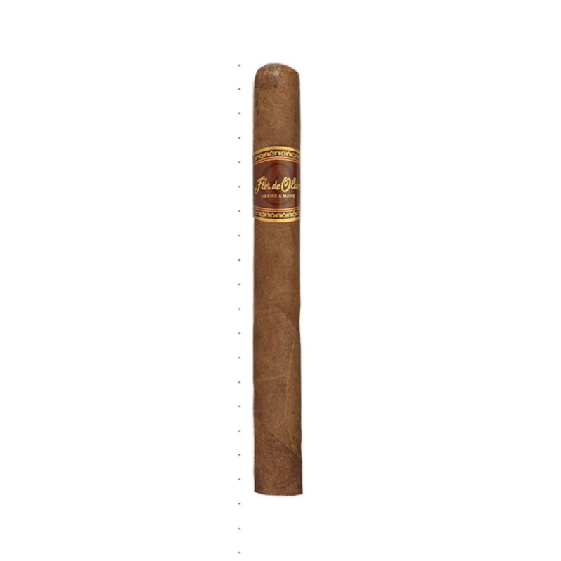 Flor De Oliva Churchill
