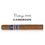 Rocky Patel Vintage 2003 