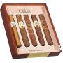 OLIVA ROBUSTO SAMPLER 5 CIGARS