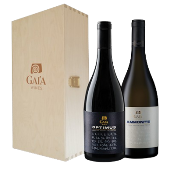 ΑΜΜΩΝΙΤΗΣ OBTIMUS ΞΥΛΟΚΙΒΩΤΙΟ