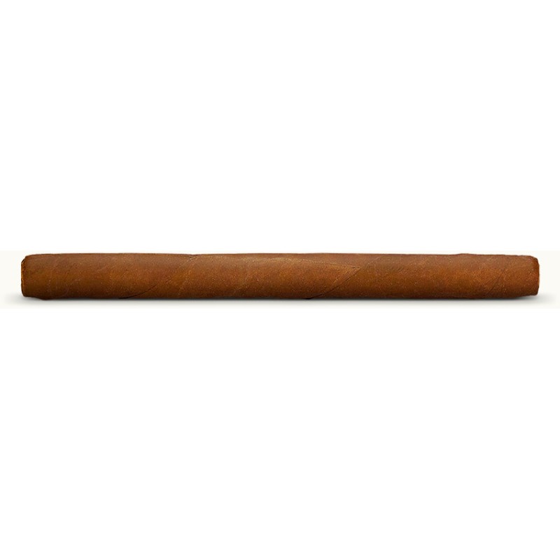 CHAZZ CIGARILLOS 20 CHAZZ CIGARILLOS 20