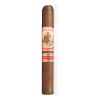 BELLAS ARTES ROBUSTO BELLAS ARTES ROBUSTO