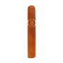 PLASENCIA EPICO ROBUSTO