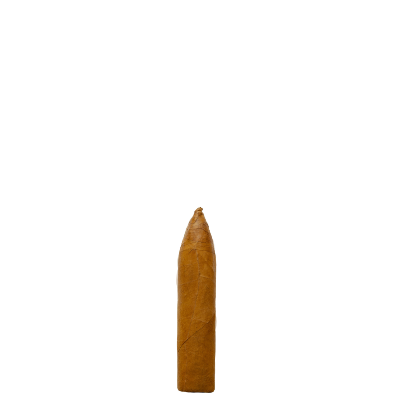 MACHETERO SHORT TORPEDO BUNDLE MACHETERO SHORT TORPEDO BUNDLE