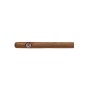 MONTECRISTO No1