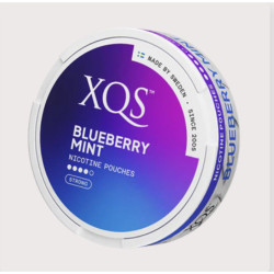 XQS BLUEBERRY MINT STRONG